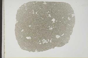 Plane Polarized, S17114