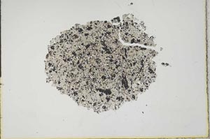 Plane Polarized, S17117