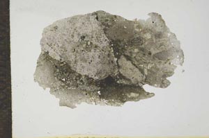 Plane Polarized, S17133