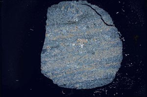 Cross Polarized, S17134