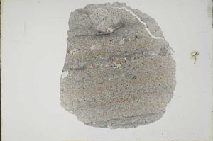 Plane Polarized, S17134