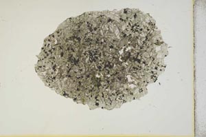 Plane Polarized, S17136