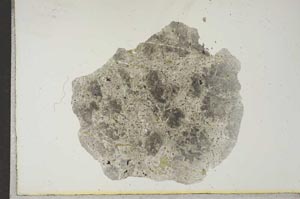 Plane Polarized, S17137