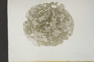 Plane Polarized, S17140