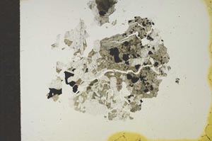 Plane Polarized, S17147