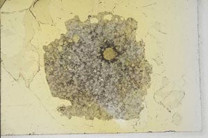 Plane Polarized, S17154