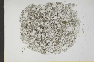 Plane Polarized, S17161