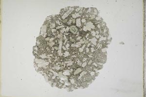 Plane Polarized, S17165
