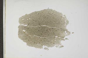 Plane Polarized, S17168