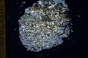 Cross Polarized, S17180