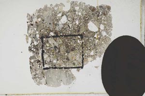 Plane Polarized, S17181/A