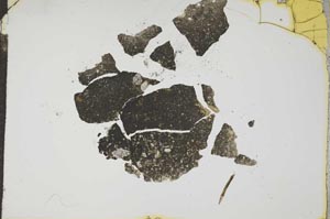 Plane Polarized, S17189