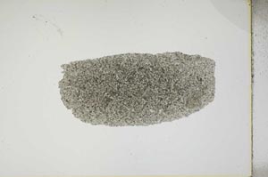 Plane Polarized, S17190