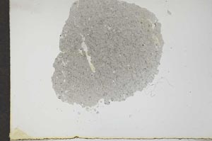 Plane Polarized, S17191