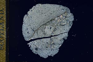Cross Polarized, S17192