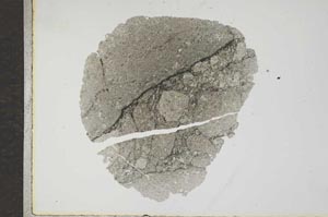Plane Polarized, S17192