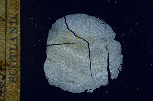 Cross Polarized, S17193