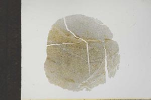 Plane Polarized, S17193