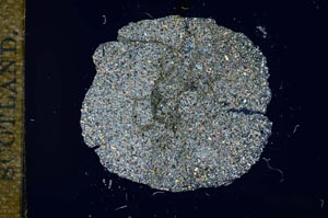 Cross Polarized, S17195