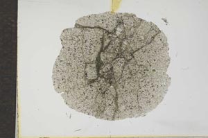 Plane Polarized, S17195