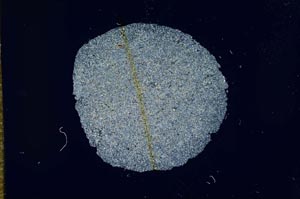 Cross Polarized, S17196