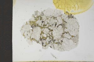 Plane Polarized, S17200