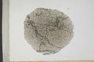 Plane Polarized, S17206