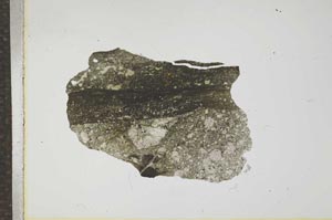 Plane Polarized, S17209