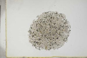 Plane Polarized, S17220