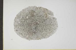 Plane Polarized, S17221
