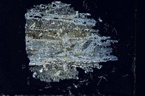 Cross Polarized, S17223