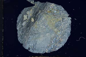 Cross Polarized, S17224