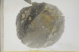 Plane Polarized, S17224