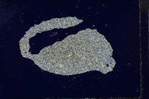 Cross Polarized, S17230