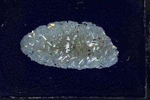 Cross Polarized, S17231