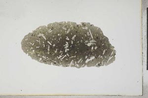 Plane Polarized, S17231