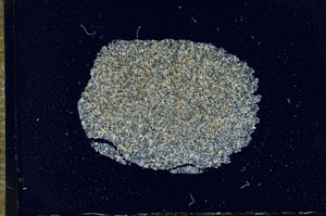 Cross Polarized, S17232