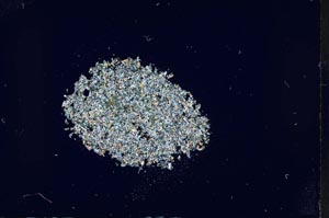 Cross Polarized, S17233