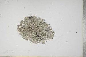 Plane Polarized, S17233