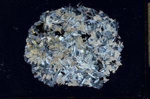 Cross Polarized, S17238