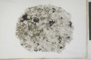 Plane Polarized, S17238