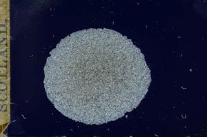 Cross Polarized, S17239