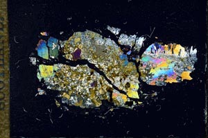 Cross Polarized, S17241