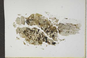 Plane Polarized, S17241