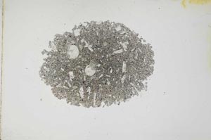 Plane Polarized, S17247