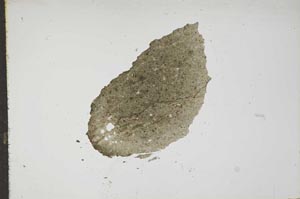 Plane Polarized, S17252