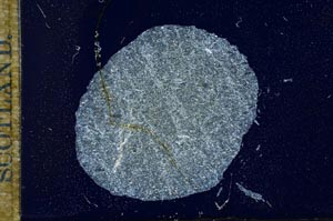 Cross Polarized, S17253