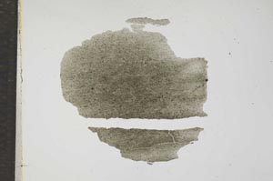 Plane Polarized, S17255