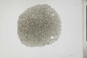 Plane Polarized, S17258