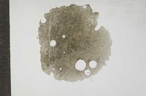 Plane Polarized, S17259